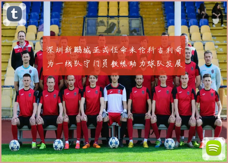 深圳新鹏城正式任命米伦科吉利奇为一线队守门员教练助力球队发展